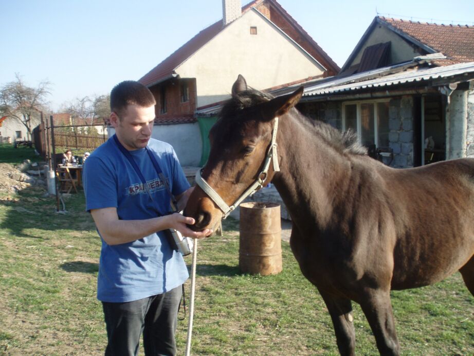 Dej mi něco dobrého.jpg