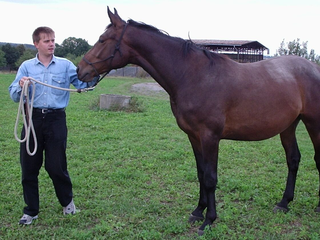 Martin a Lenti.jpg
